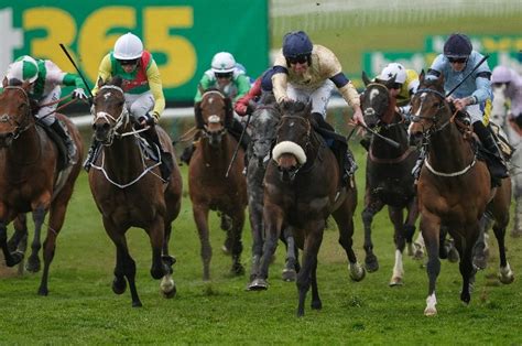 2024 Queen Elizabeth II Jubilee Stakes Betting Tips, Best.